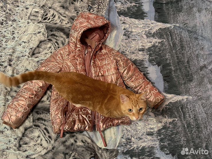 Куртка зимняя