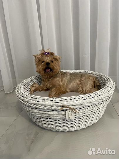 Лежанка для животных