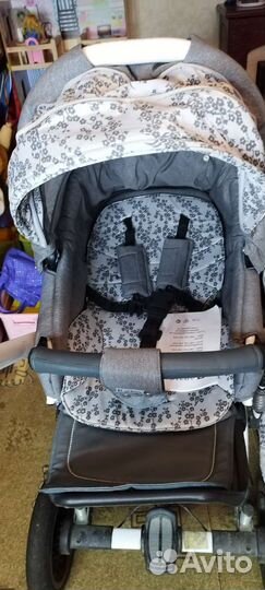 Коляска 2 в 1 Adamex