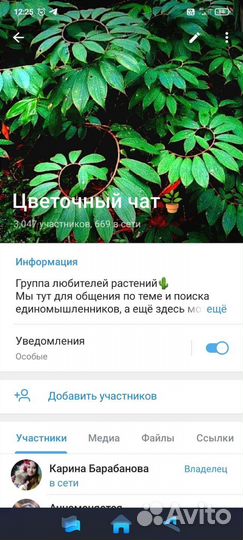 Цветочная группа