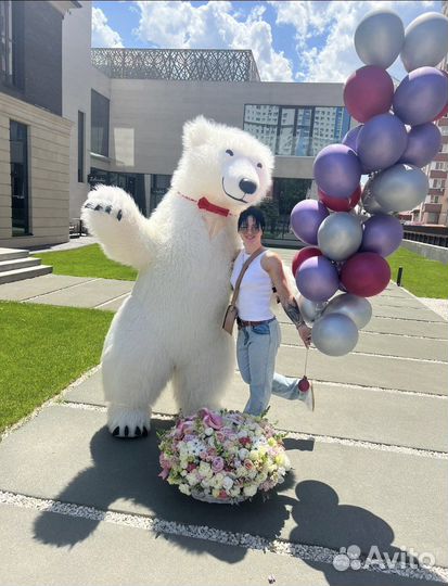 Поздравление Белого и Мятного Медведя