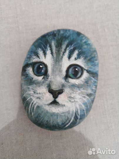 Котик на камешке