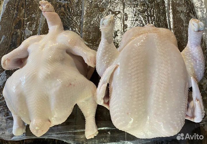 Куры халяль