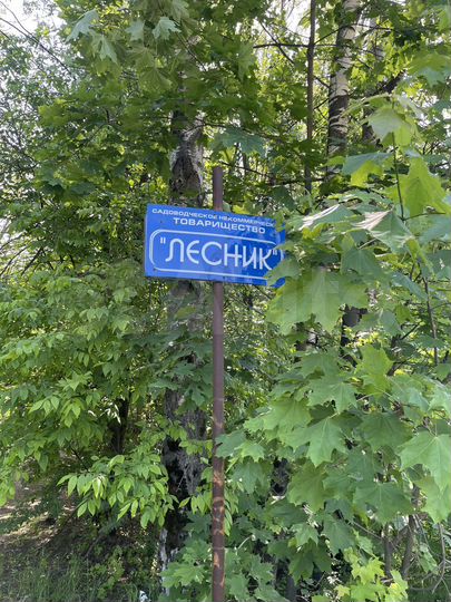 Участок 8 сот. (СНТ, ДНП)