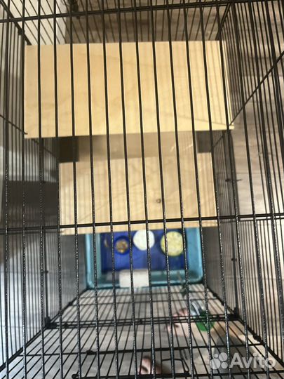 Клетка для грызунов бу