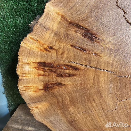 Каповый спил карагача