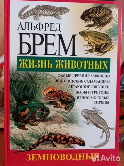 Книги жизнь животных