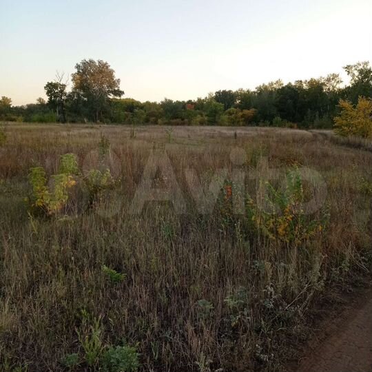 Участок 21 сот. (СНТ, ДНП)