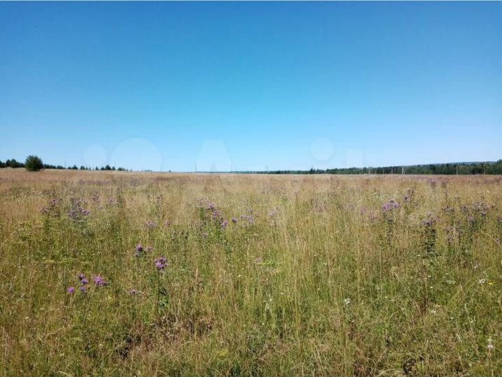 Участок 9 сот. (ИЖС)