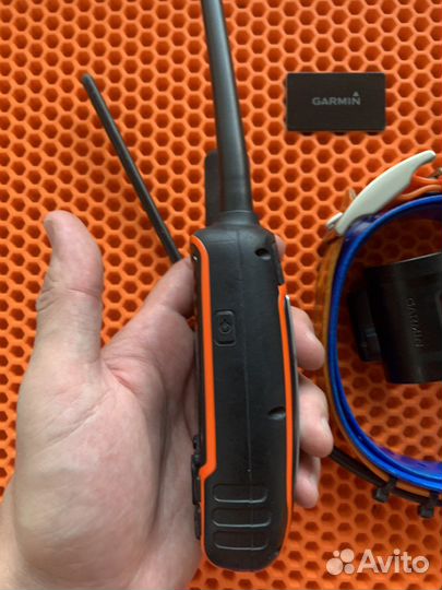 Навигатор Garmin Astro 320 с ошейником DC 40 (USA)