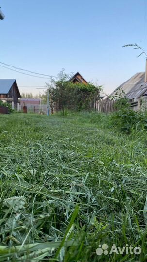 Покос травы триммером