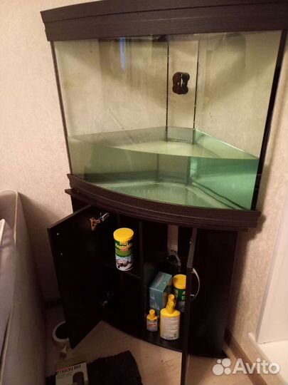 Аквариумные рыбки