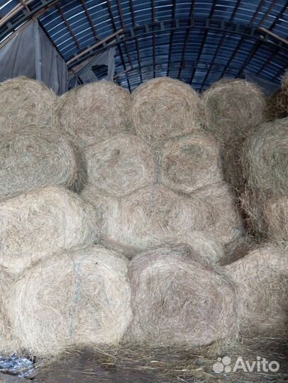Продам сено в рулонах