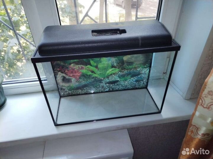 Аквариум