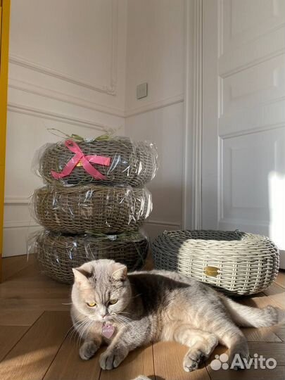 Кашпо для цветов