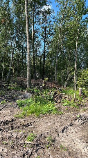 Участок 21,79 га (промназначения)