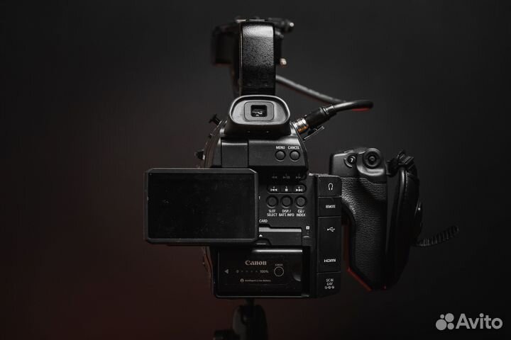 Canon c100