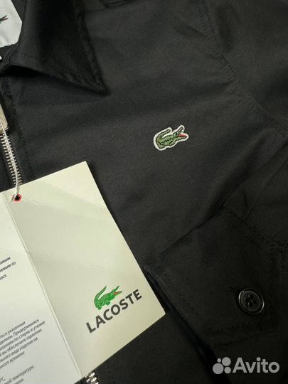 Куртка мужская Lacoste