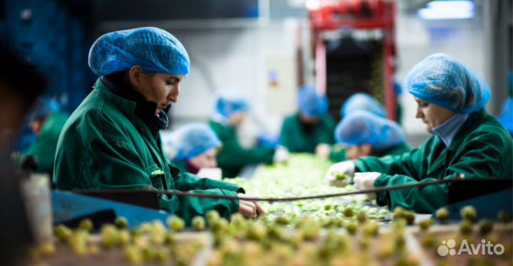 Упаковщики фасовщики вахта