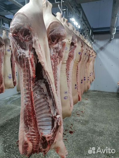 Мясо Свинина Постная