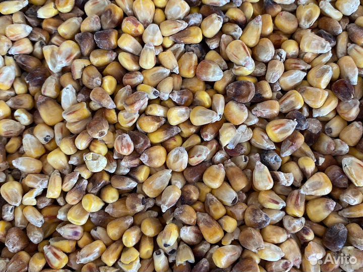 Комбикорм и зерно