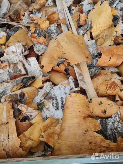 Береста для розжига