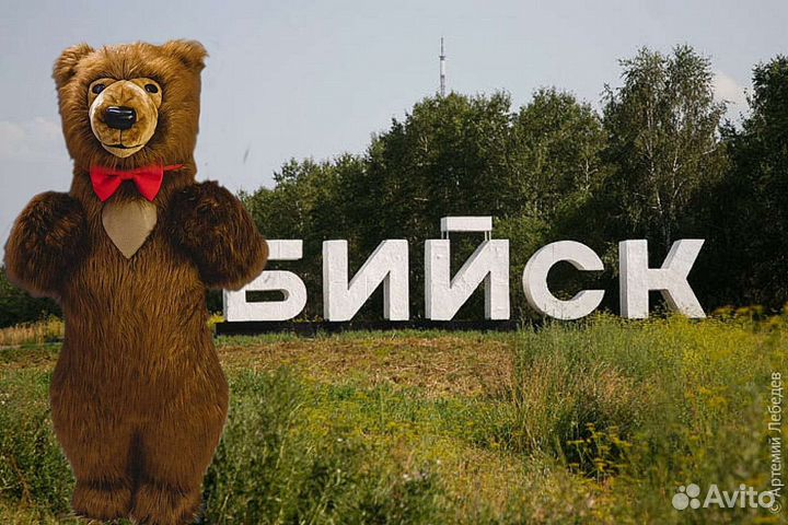 Поздравление Медведь Мишка Белый Бурый Большой