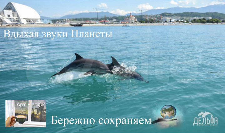 Квартира-студия, 25 м², 1/7 эт.