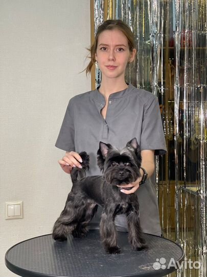 Грумер.Стрижка, экспресс линька собак