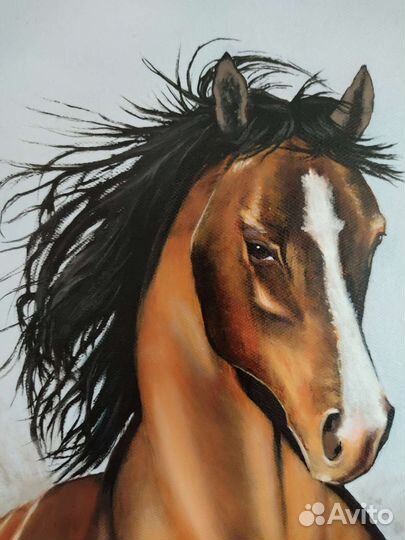 Картина маслом на холсте Скачущая лошадь