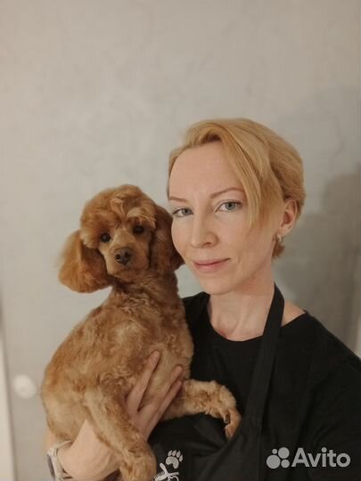 Стрижка собак в салоне и дома