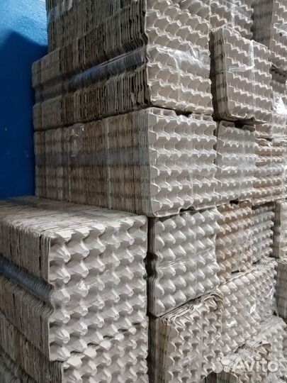 Ячейка картонная для яиц