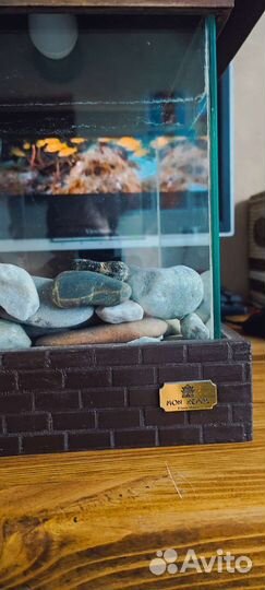 Аквариум c флорариумом