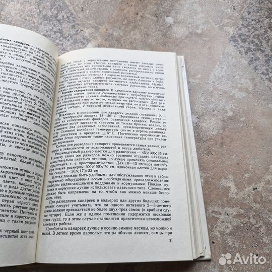 Птицы в доме. Шнейдер. 1991 г