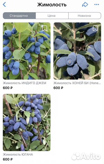 Жимолость (Хоней Би, Юнга, Индиго джем)