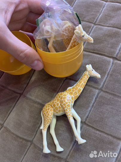 Обмен киндер макси natoons