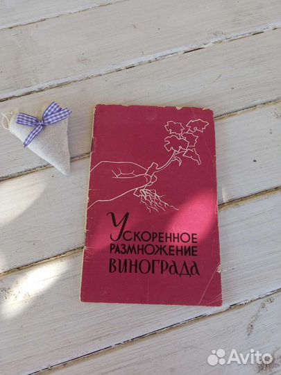 Ускоренное размножение дефицитных сортов винограда