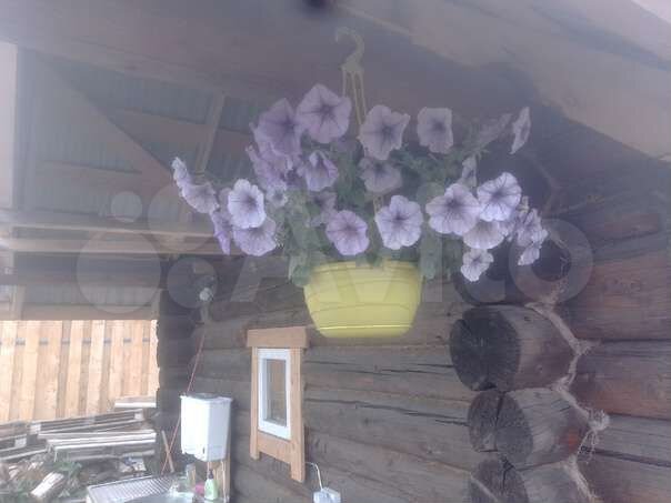 Участок 16,8 сот. (ИЖС)