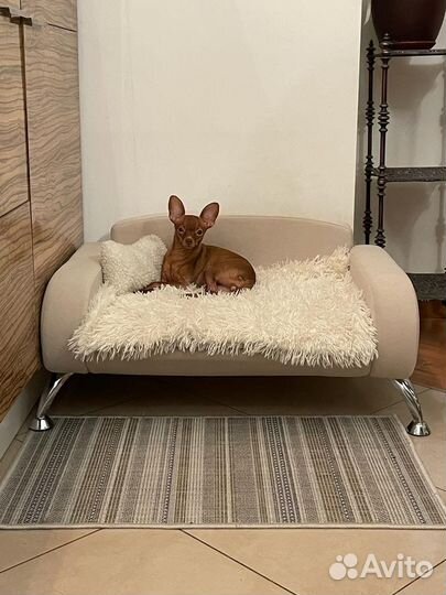 Мебель для животных