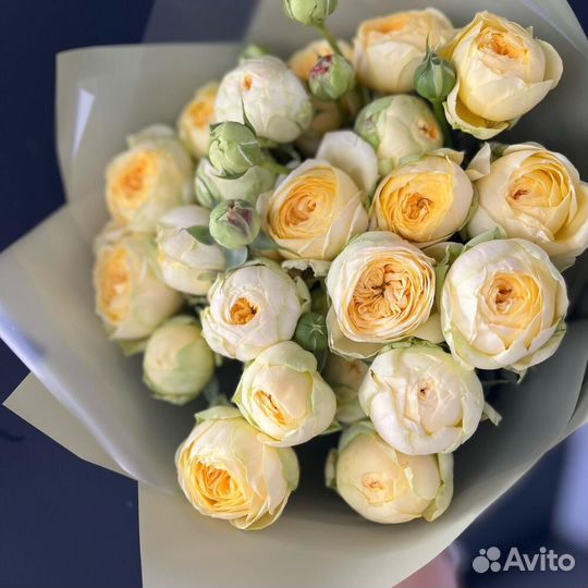 Букет из 5 кустовых пионовидных роз