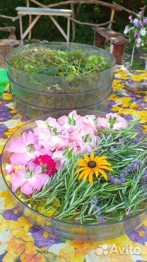 Травяной чай 