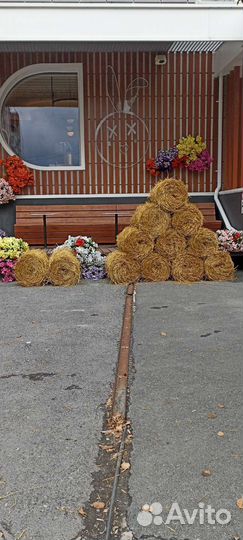 Солома в рулонах