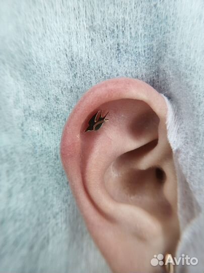 Профессиональный пирсинг