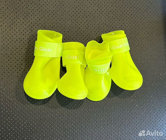 Одежда и амуниция для собак