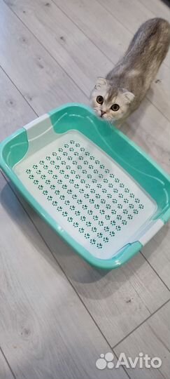 Лоток для кошек