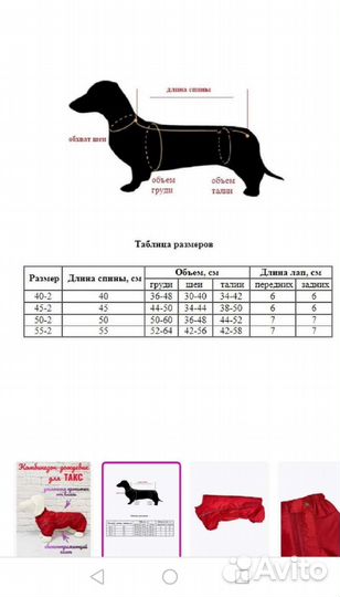 Комбинезон дождевик для собаки такса девочка