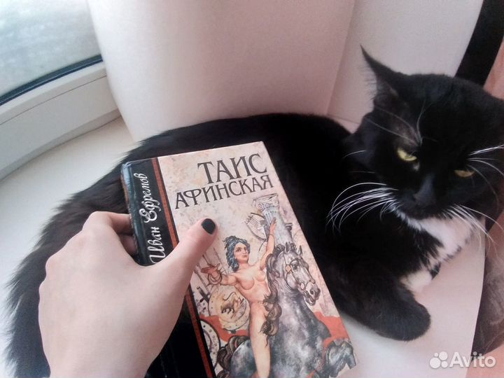 Иван Ефремов, 