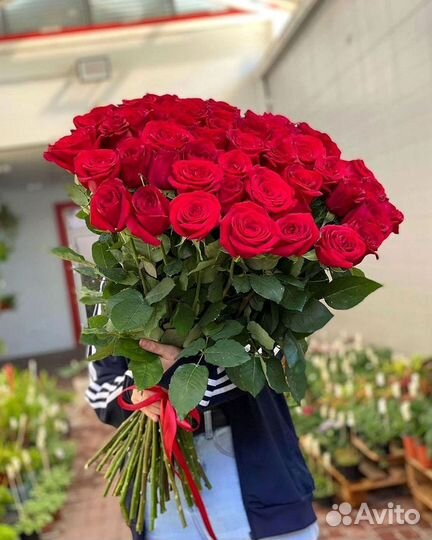 51 Роза, Букеты Цветы Розы 25 101 501 1001