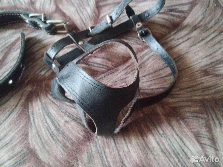 Ошейник для крупных собак и намордник