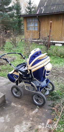 Коляска adamex avalon